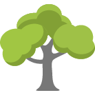 Spanish Fork Tree Trimming