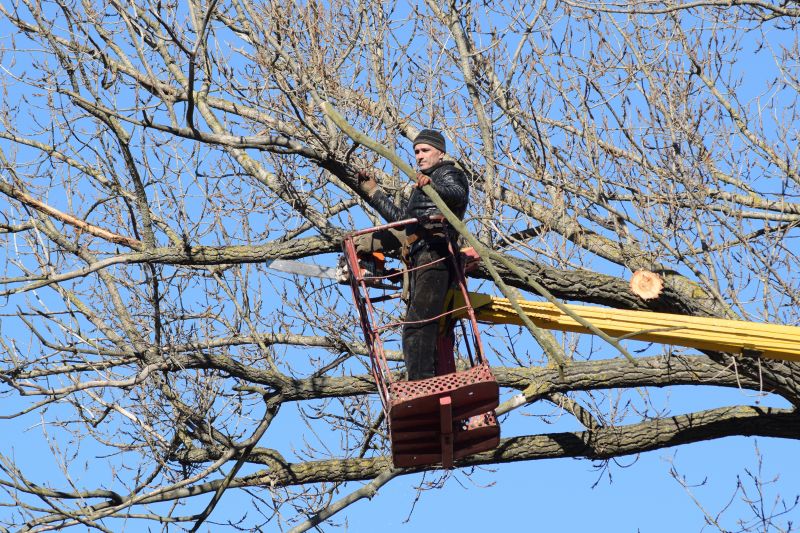 Tree Maintenance Equipment