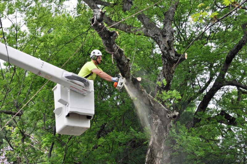 Tree Trimming Equipment