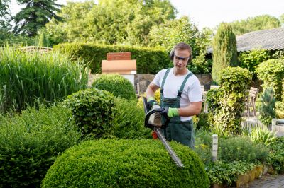 Landscaping and Maintenance